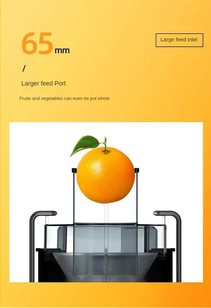 FreshForce™ 800W Centrifugal Juicer